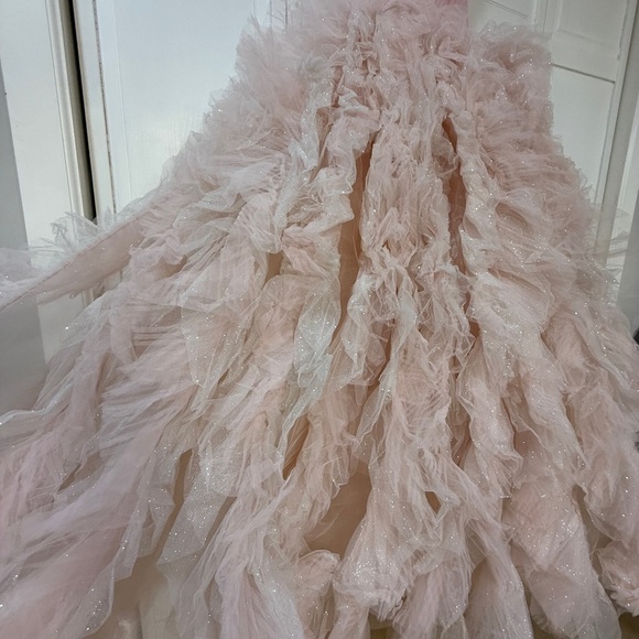 NWT | Mac Duggal 20592 Light Pink Glitter Tulle Gown Size 2 - Picture 13 of 16